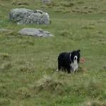 شقة Honzarhof لانغنفلد