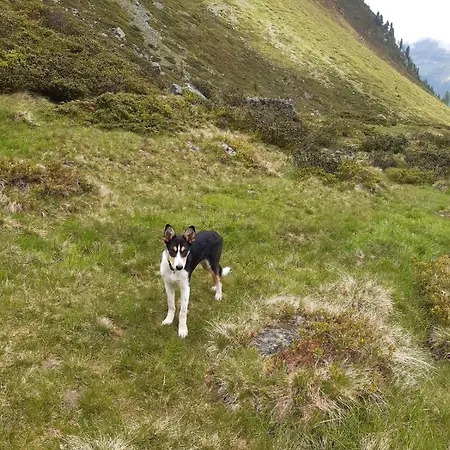 Appartement Honzarhof