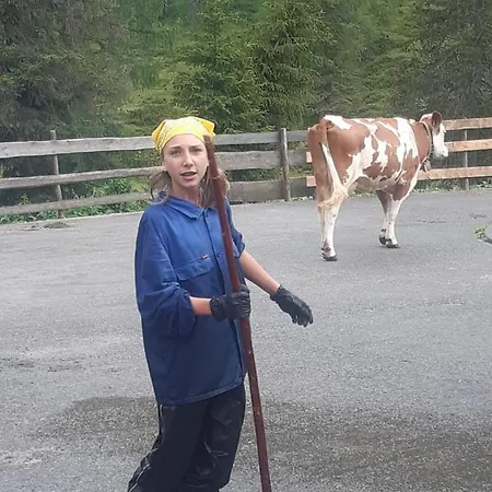 Honzarhof Appartement Längenfeld