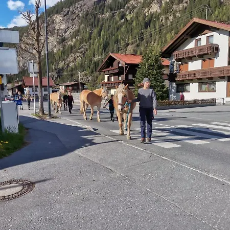 Honzarhof *