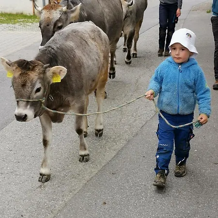 Appartement Honzarhof Längenfeld