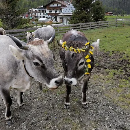 Appartement Honzarhof