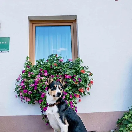 Apartmán Honzarhof Längenfeld
