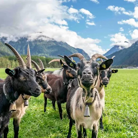 Honzarhof Appartement