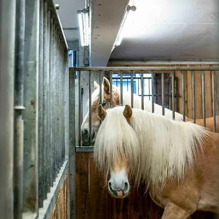 Honzarhof Appartement *