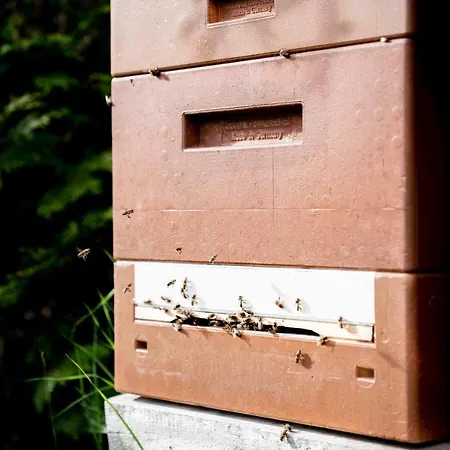 Honzarhof Appartement