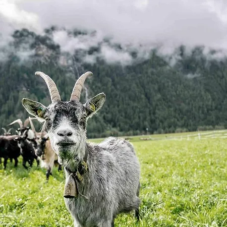 Appartement Honzarhof Längenfeld