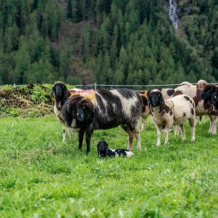 Honzarhof Längenfeld