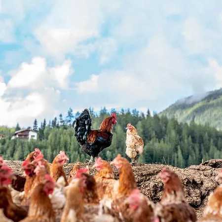 Honzarhof Appartement *