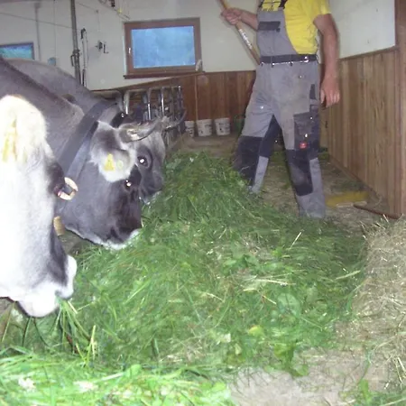 Appartement Honzarhof