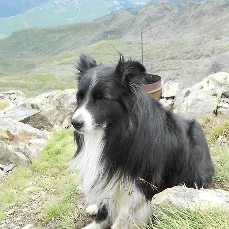 Honzarhof Appartement