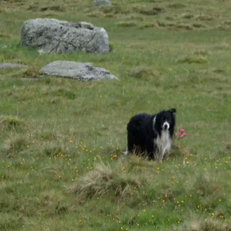 Appartement Honzarhof Längenfeld