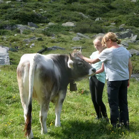 Honzarhof Appartement *