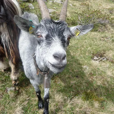 Honzarhof Appartement Längenfeld