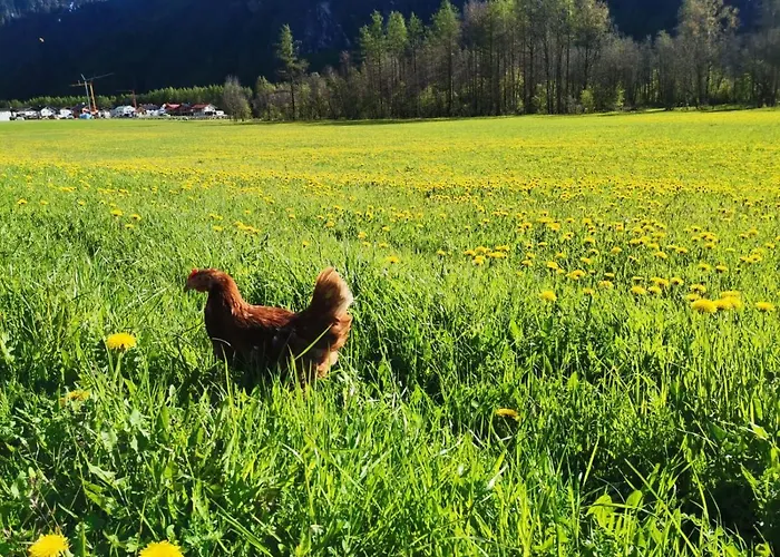 Honzarhof Lejlighed Längenfeld
