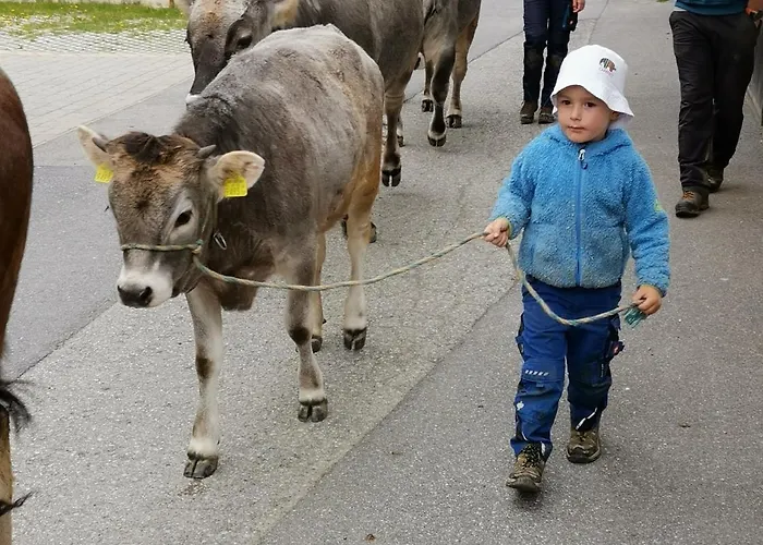 Lejlighed Honzarhof Längenfeld