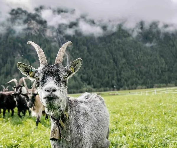 Lejlighed Honzarhof Längenfeld