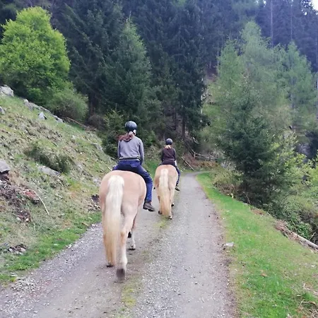 Honzarhof *