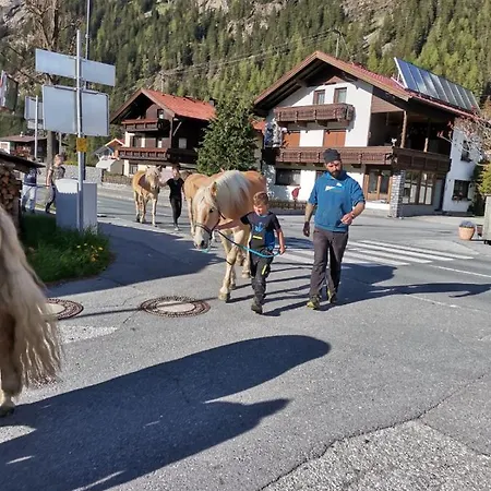 Honzarhof *