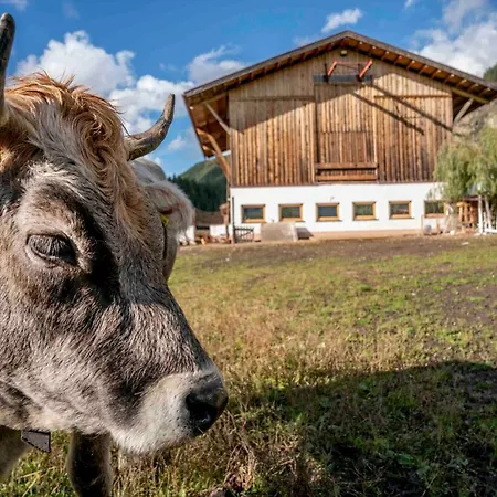 Honzarhof Apartment Längenfeld