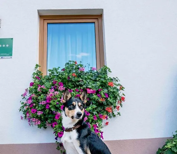 Apartment Honzarhof Längenfeld