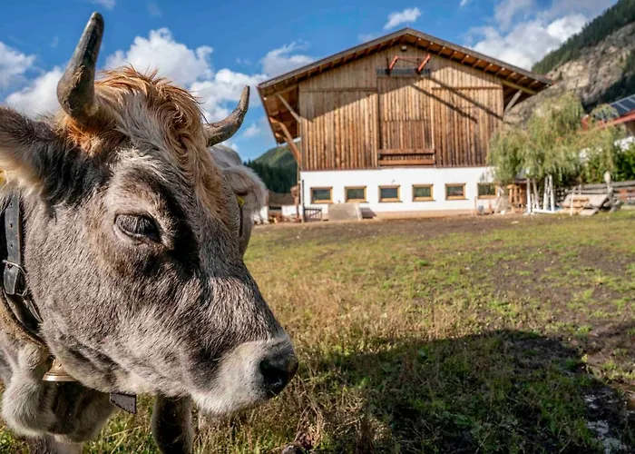 Honzarhof Apartment Längenfeld
