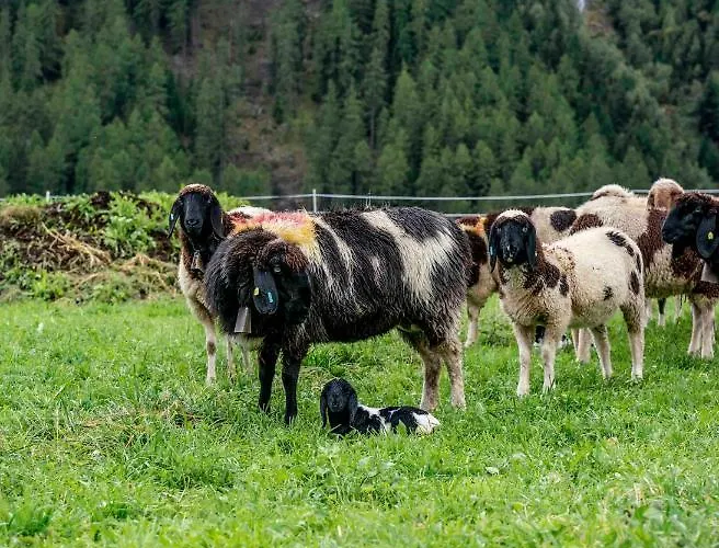 Honzarhof Längenfeld