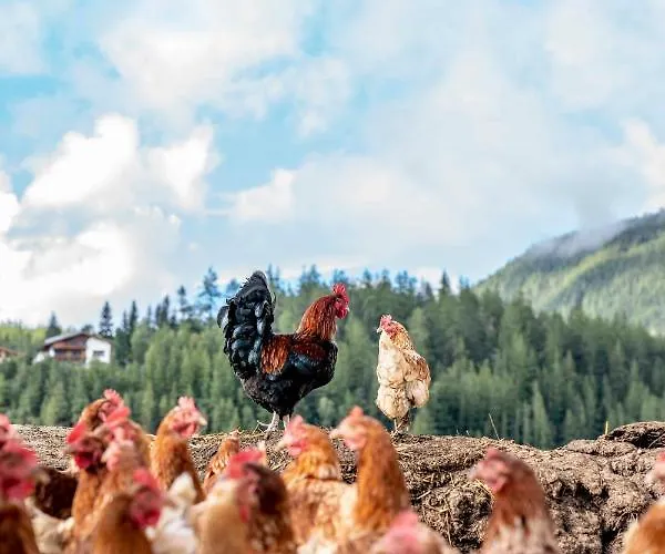 Honzarhof Apartment *