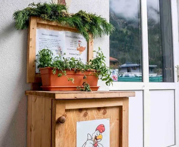 Honzarhof Apartment Längenfeld