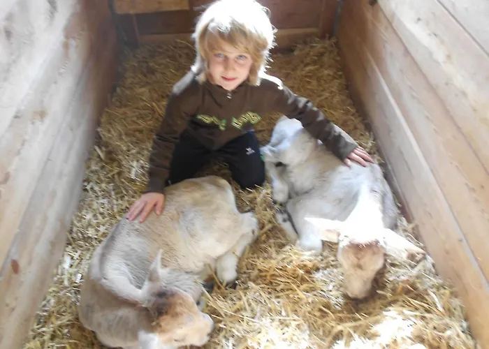 Honzarhof Apartment *