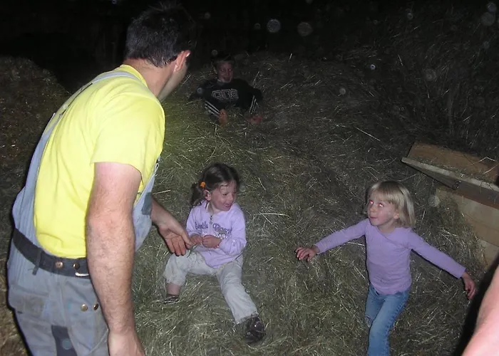 Honzarhof Apartment Längenfeld