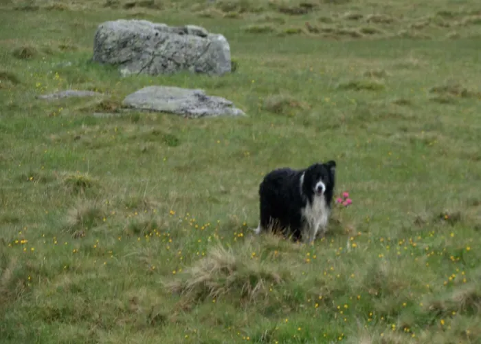 Apartment Honzarhof Längenfeld